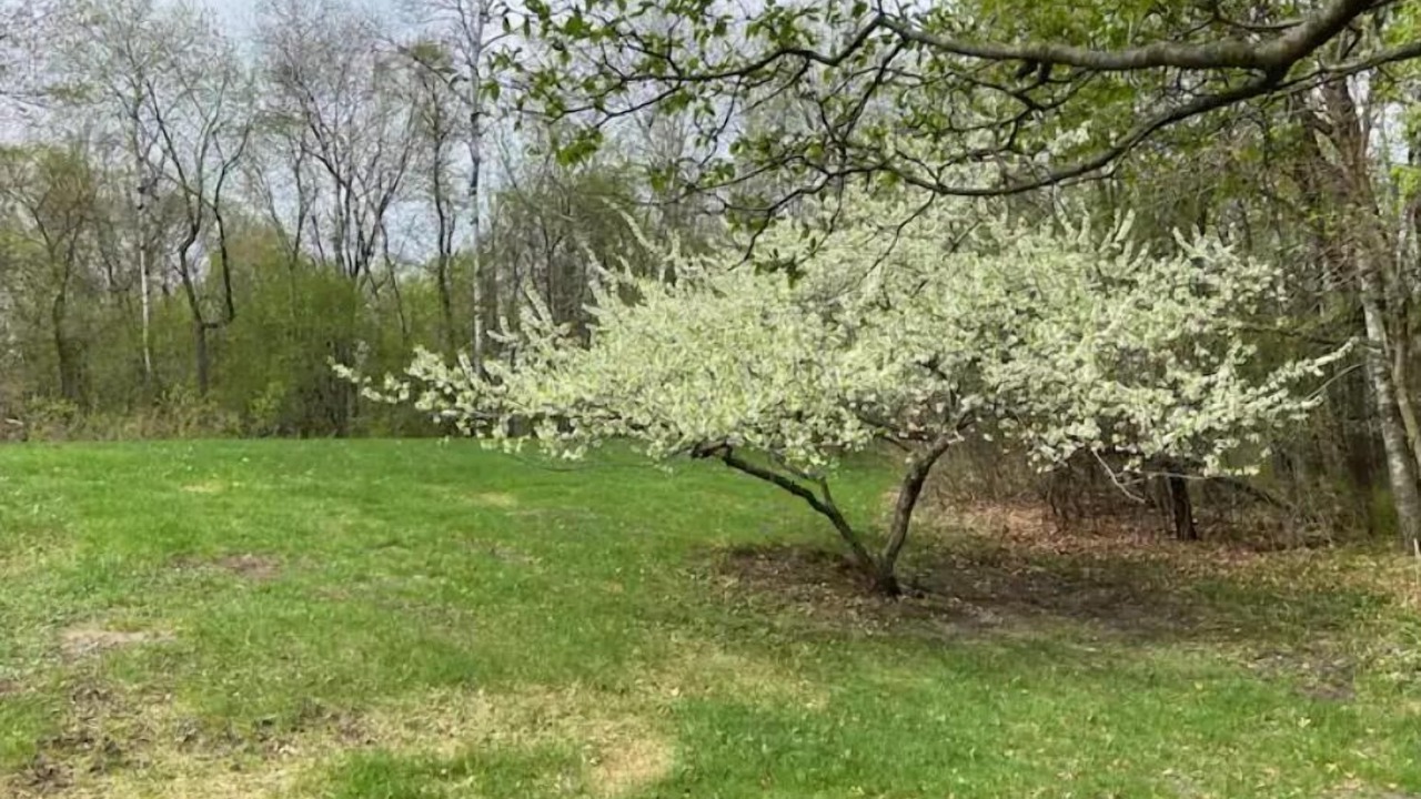 Photo of Outdoor in Blaine