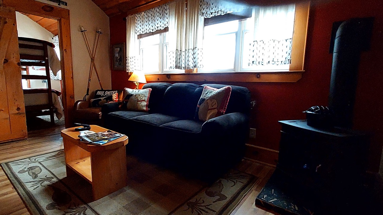 Photo of Livingroom in Saranac Lake