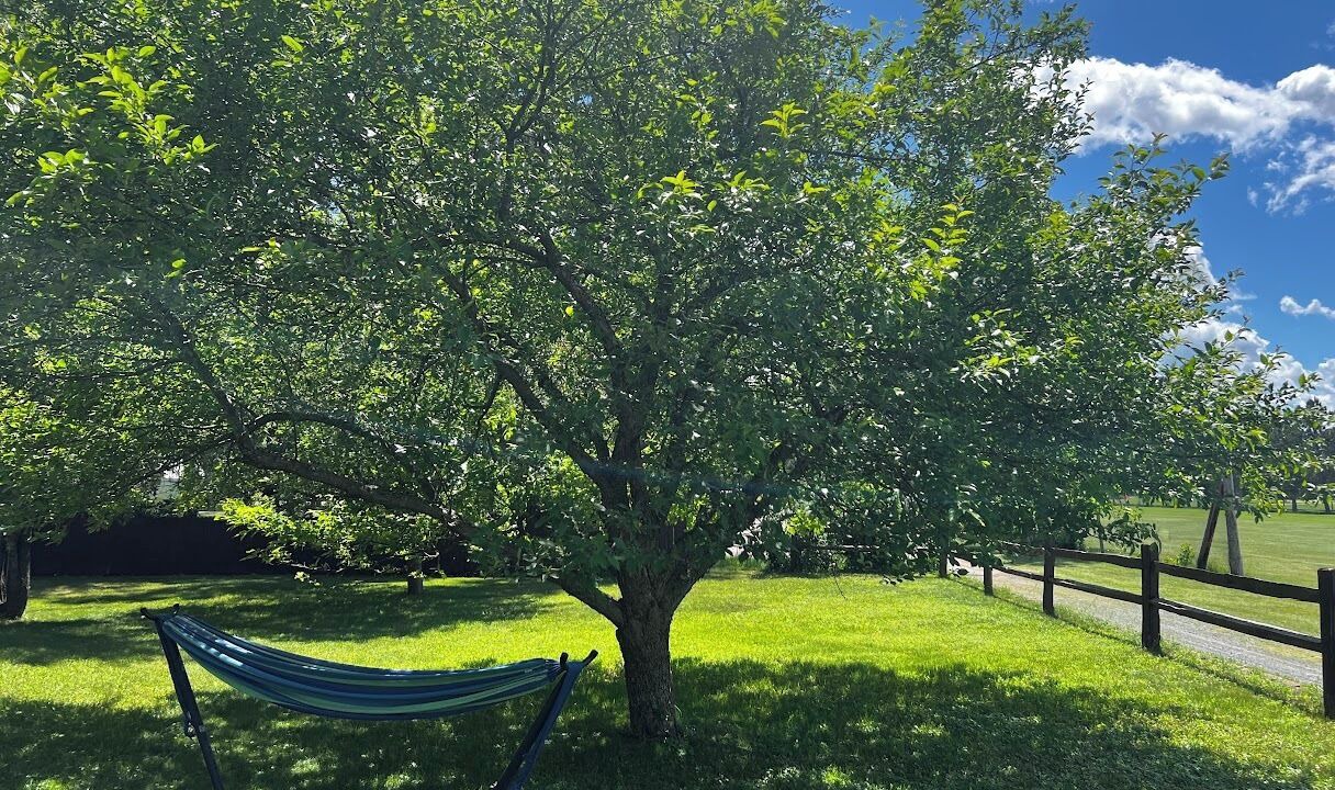 Photo of Outdoor in Hayward