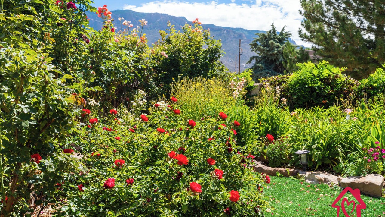 Photo of Outdoor in North Albuquerque Acres