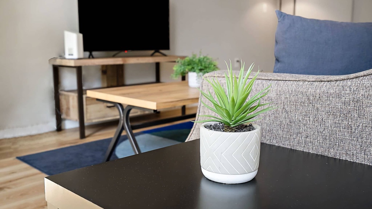 Photo of Livingroom in Mill District