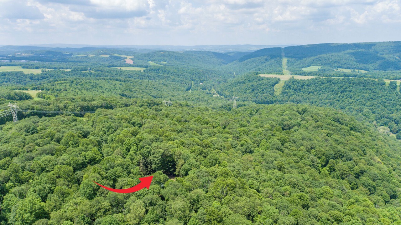 Photo of Outdoor in Accident