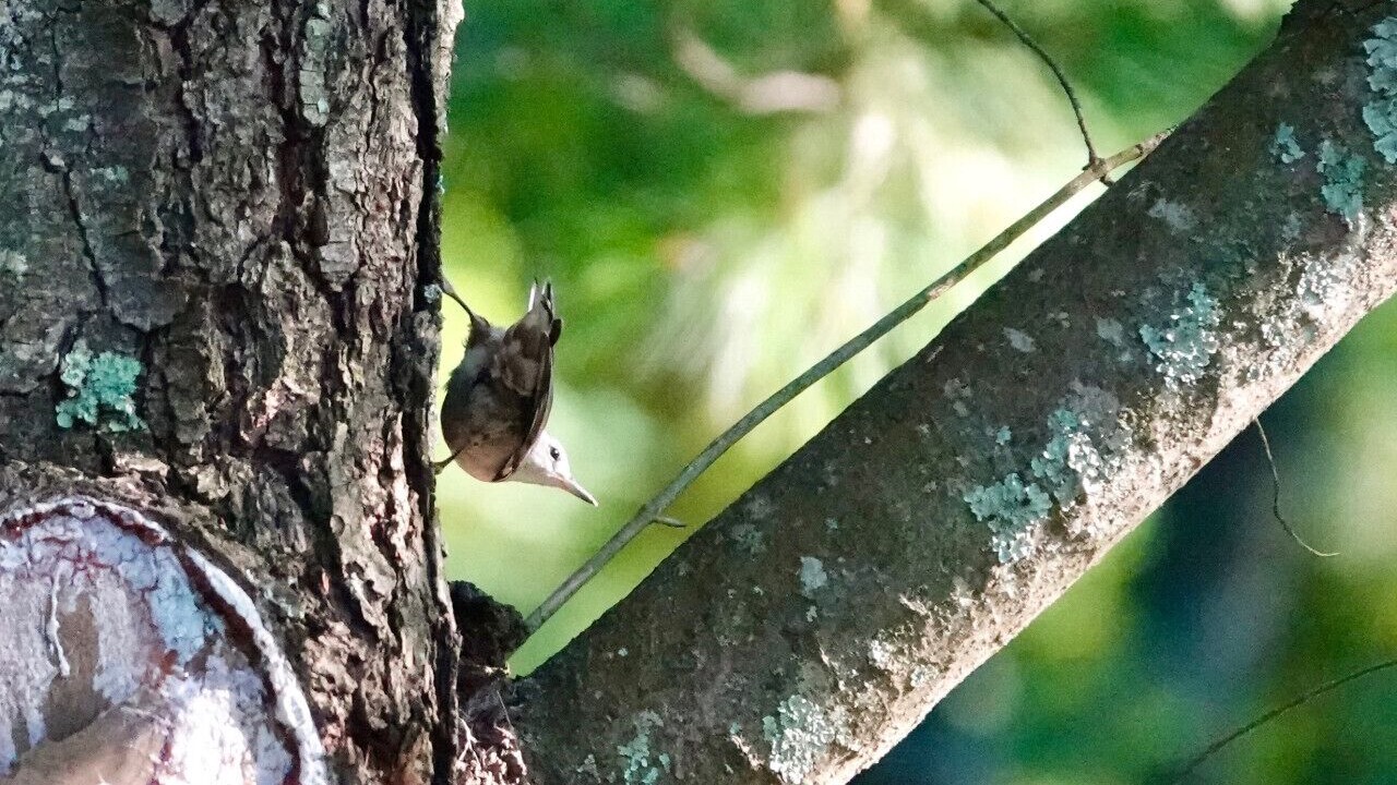 Photo of Others in Big Bend Township