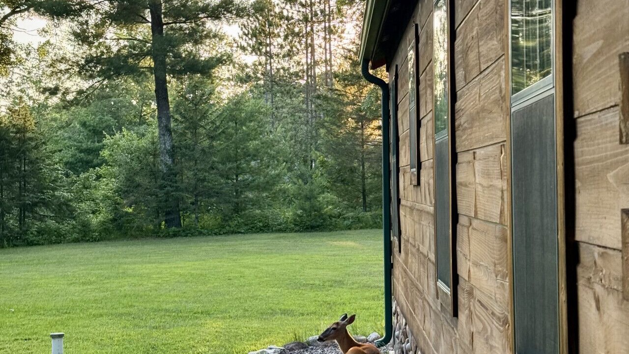 Photo of Outdoor in Big Bend Township