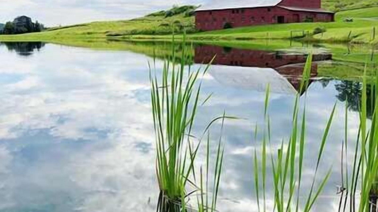 Photo of Others in Swanton