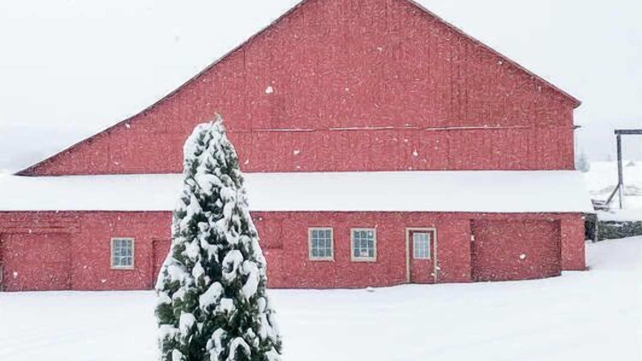 Photo of Others in Swanton
