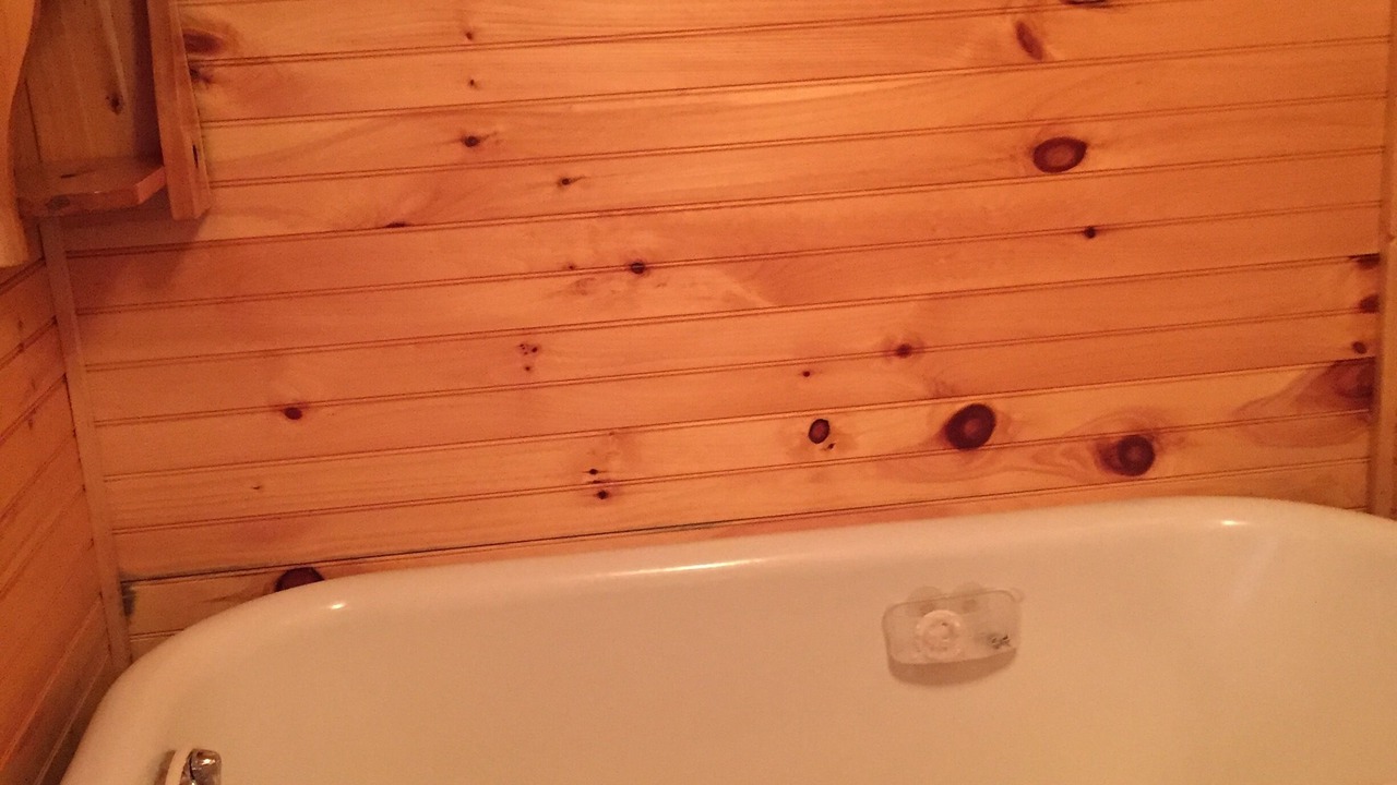 Photo of Bathroom in Star Lake