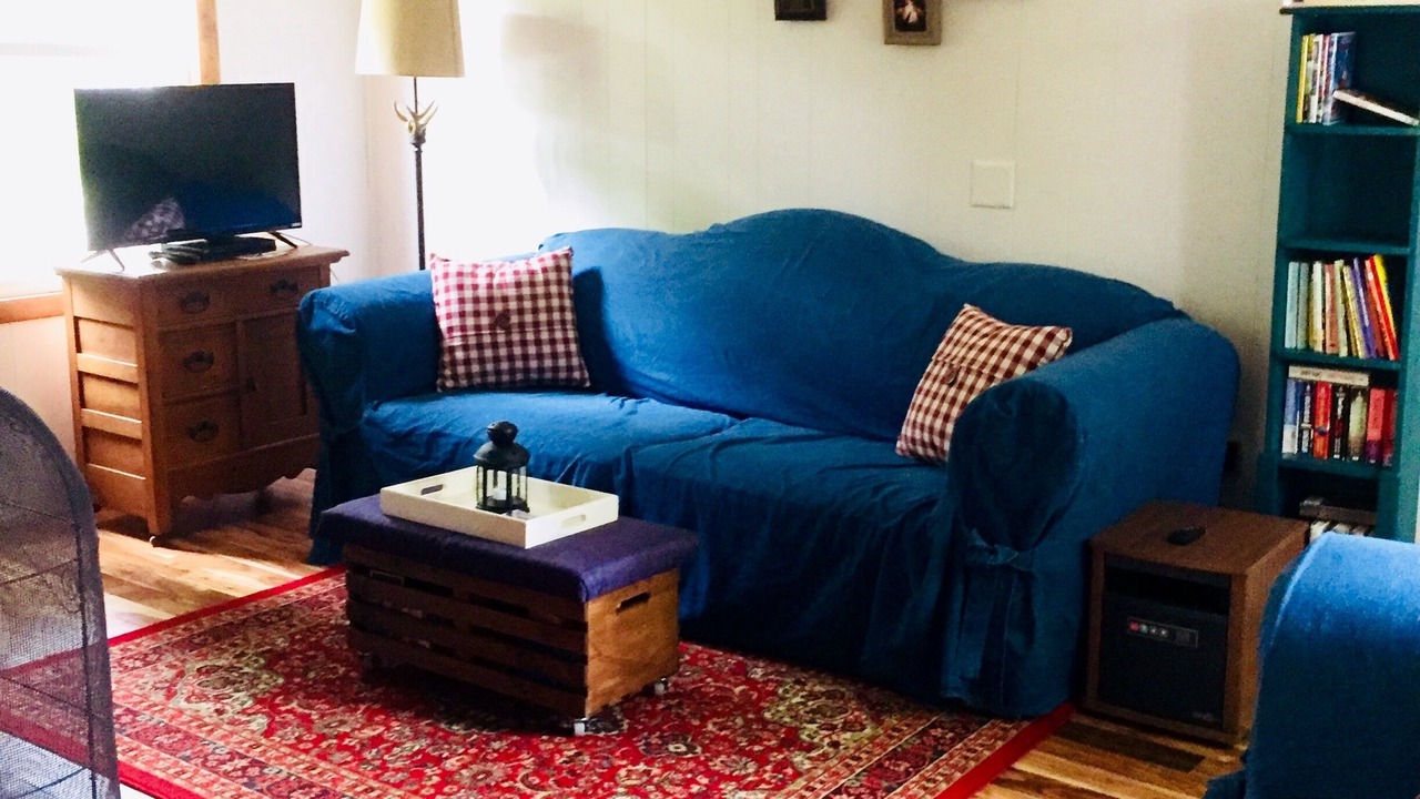 Photo of Livingroom in Star Lake