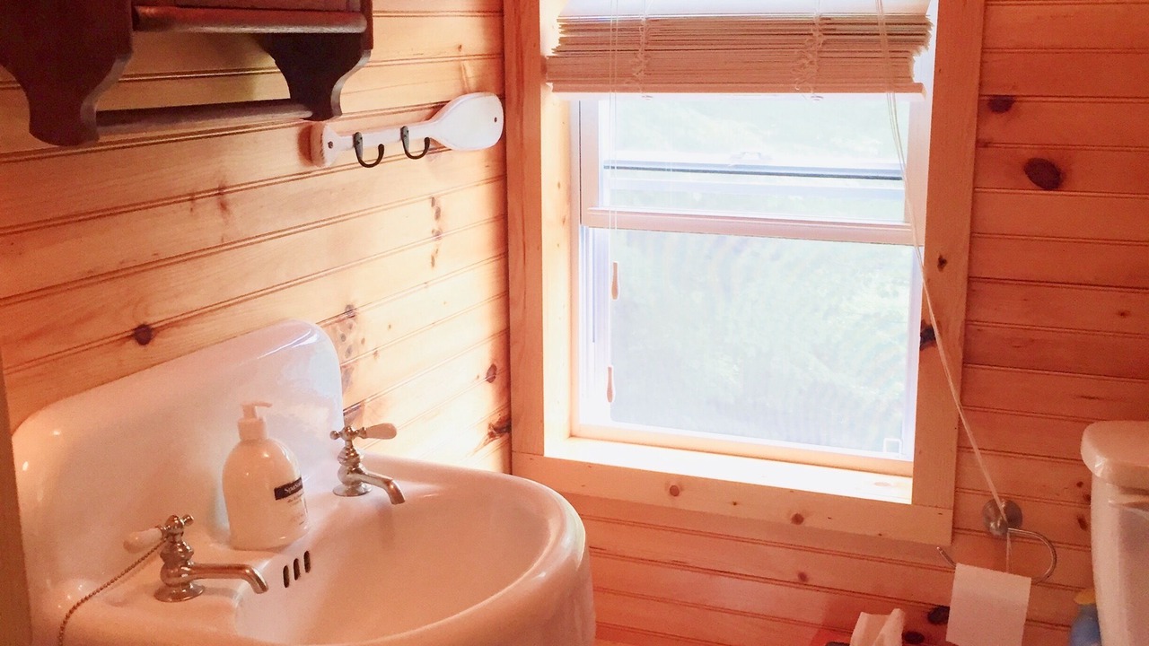 Photo of Bathroom in Star Lake