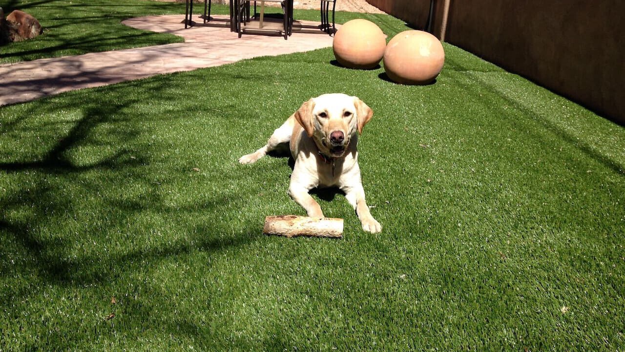 Photo of Outdoor in Santa Fe