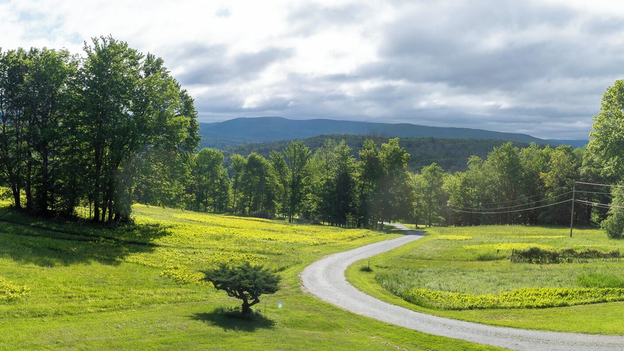 Photo of Outdoor in Williamstown