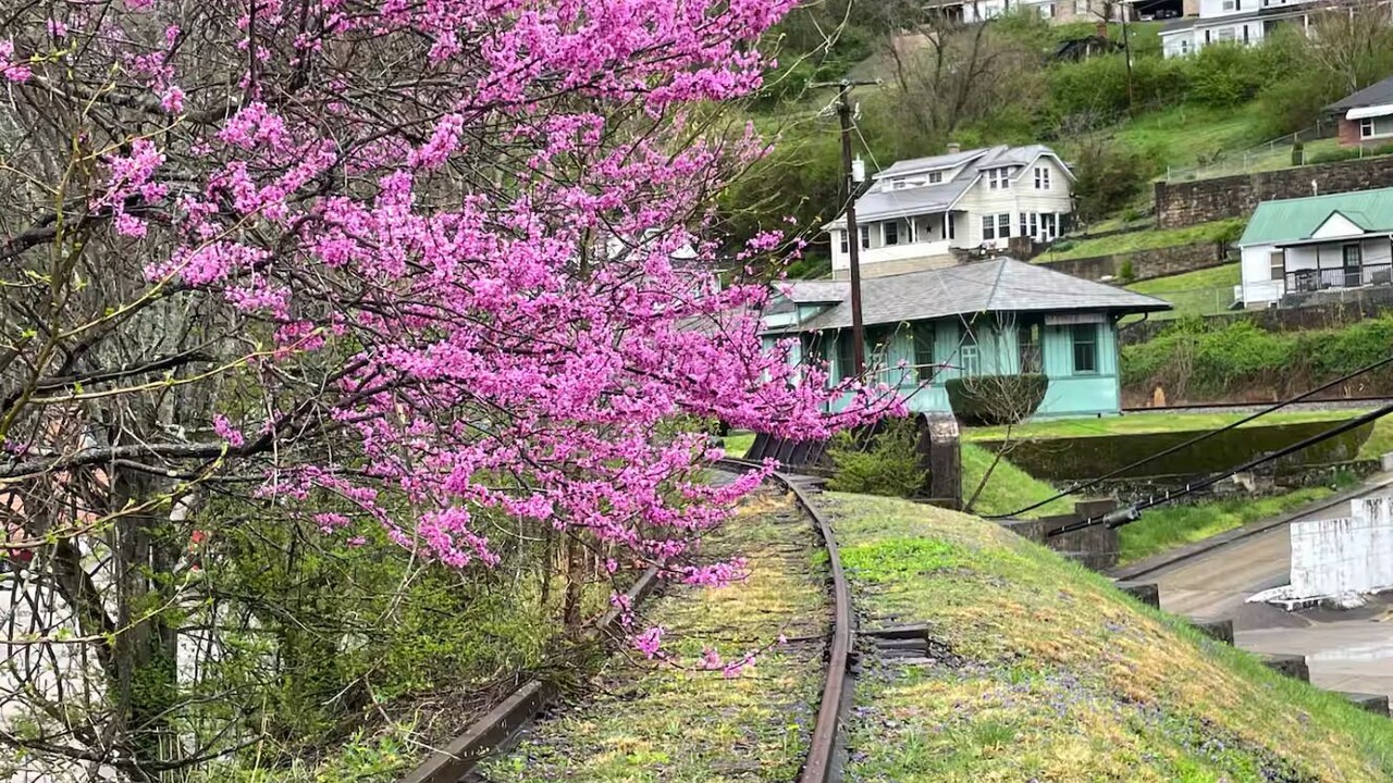 Photo of Outdoor in Gauley Bridge