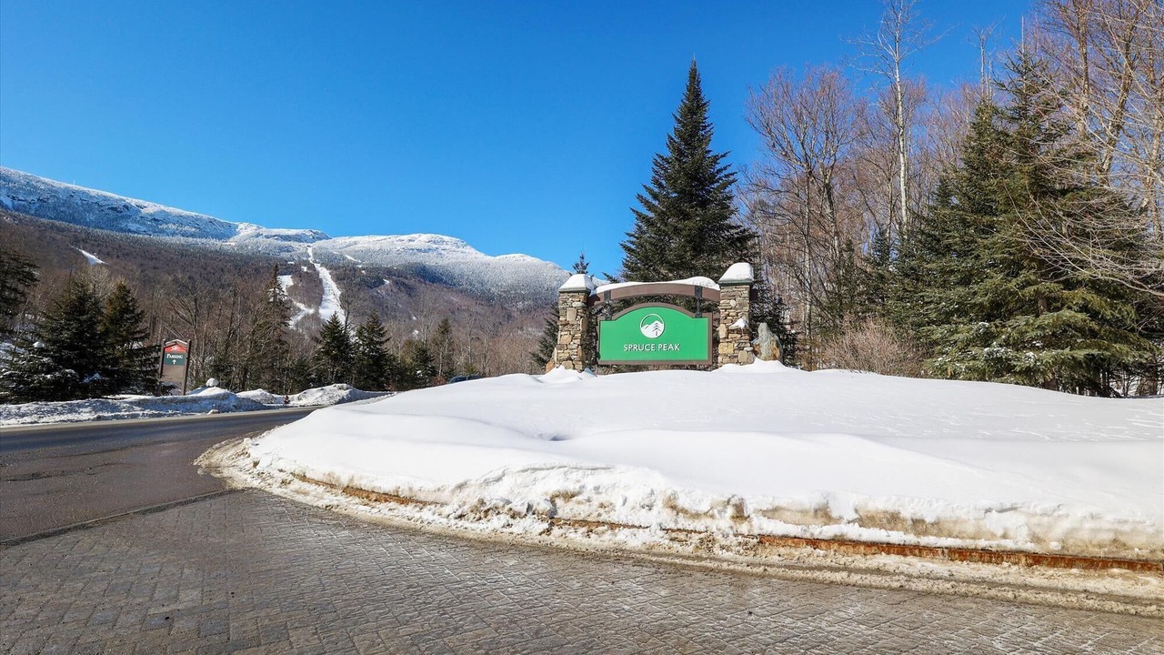 Photo of Outdoor in Stowe Area