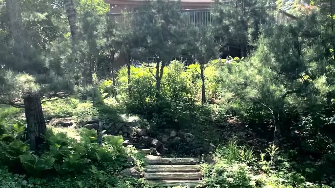Photo of Outdoor in Crosslake