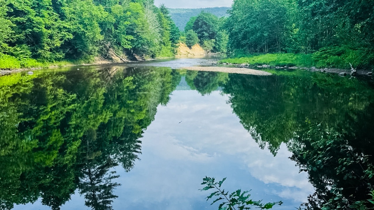 Photo of Others in Newfane