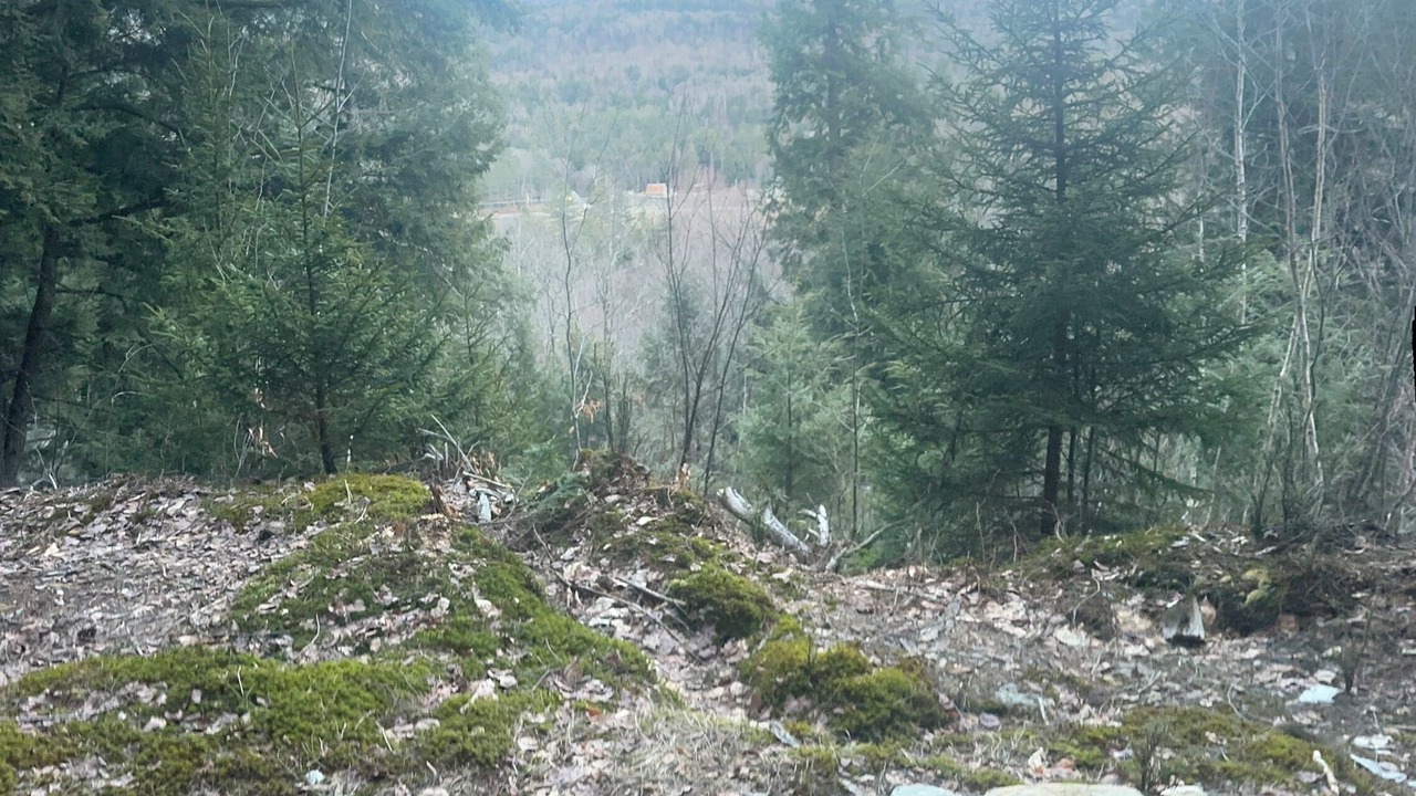 Photo of Others in Waitsfield