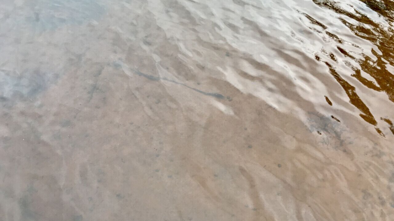 Photo of Others in Hayward