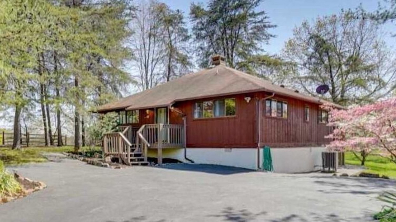 Photo of Outdoor in The Woods