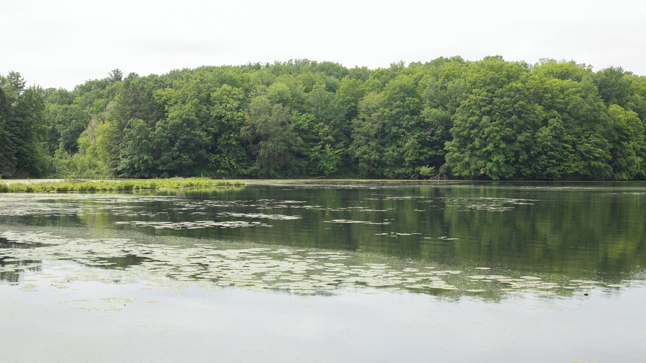 Photo of Outdoor in Rice Lake