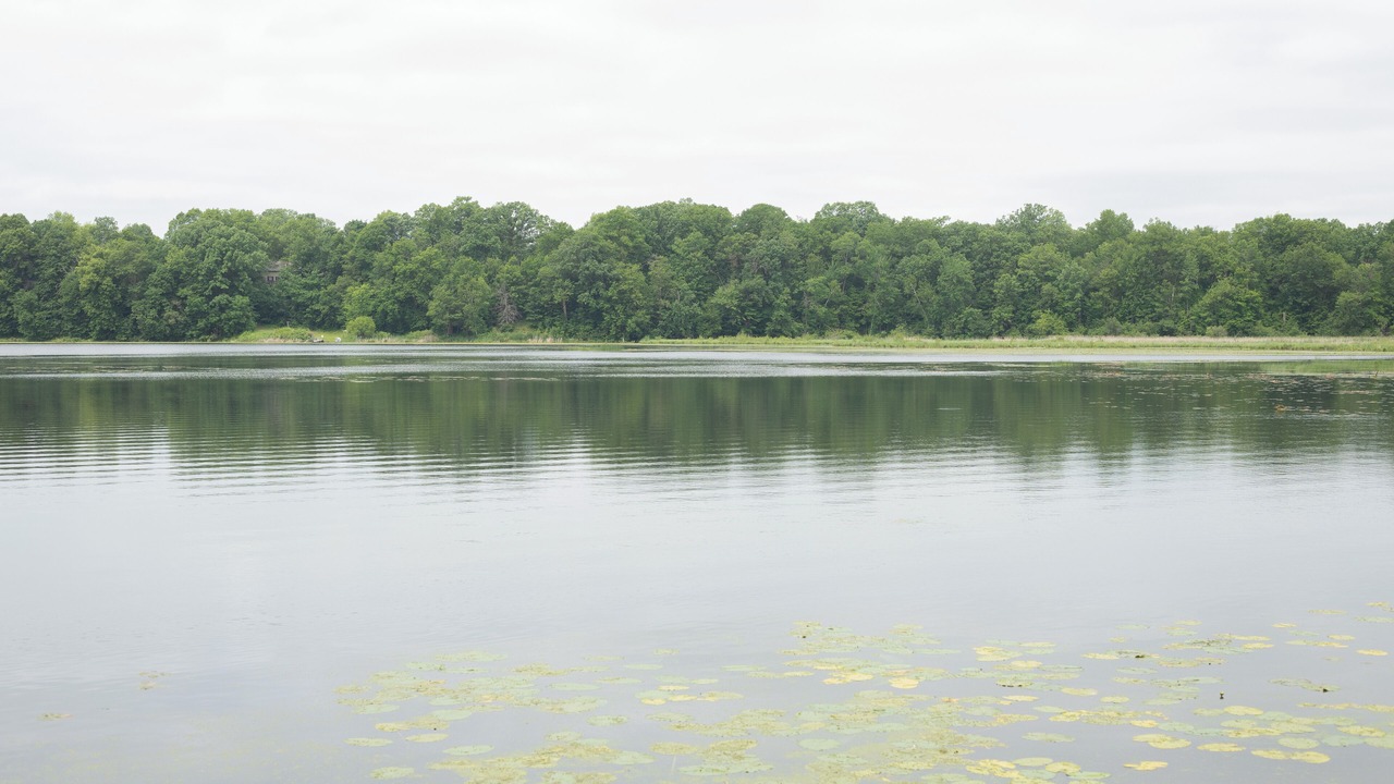 Photo of Outdoor in Rice Lake