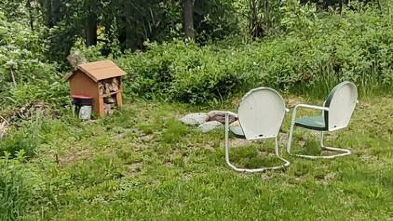 Photo of Outdoor in Hyde Park