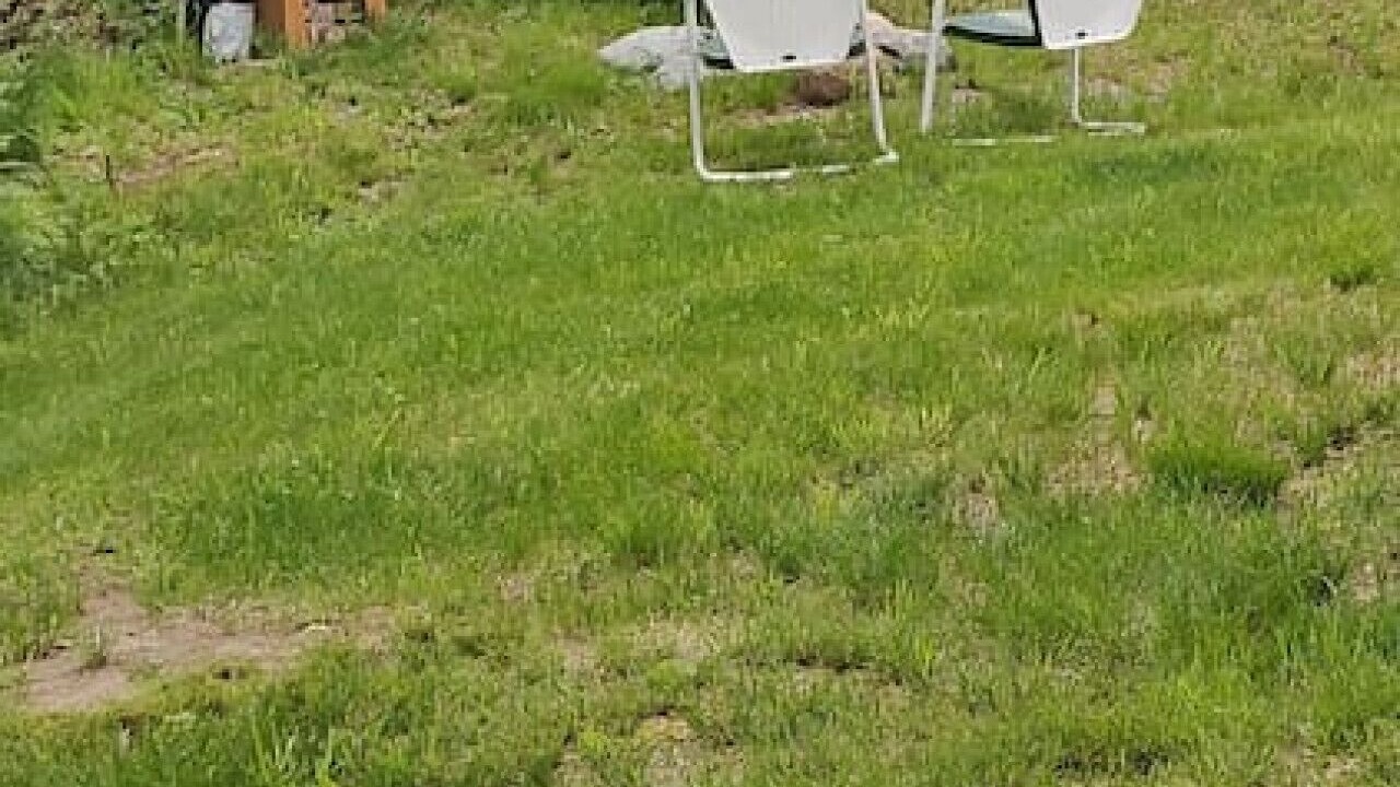 Photo of Outdoor in Hyde Park