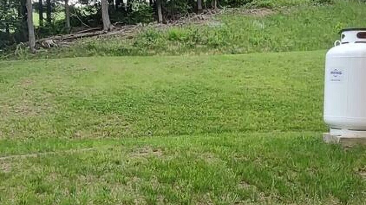 Photo of Outdoor in Hyde Park
