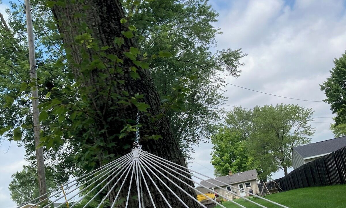 Photo of Outdoor in Shelbyville