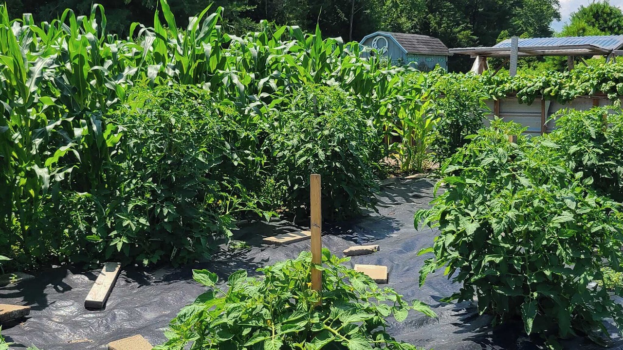 Photo of Outdoor in Vergennes