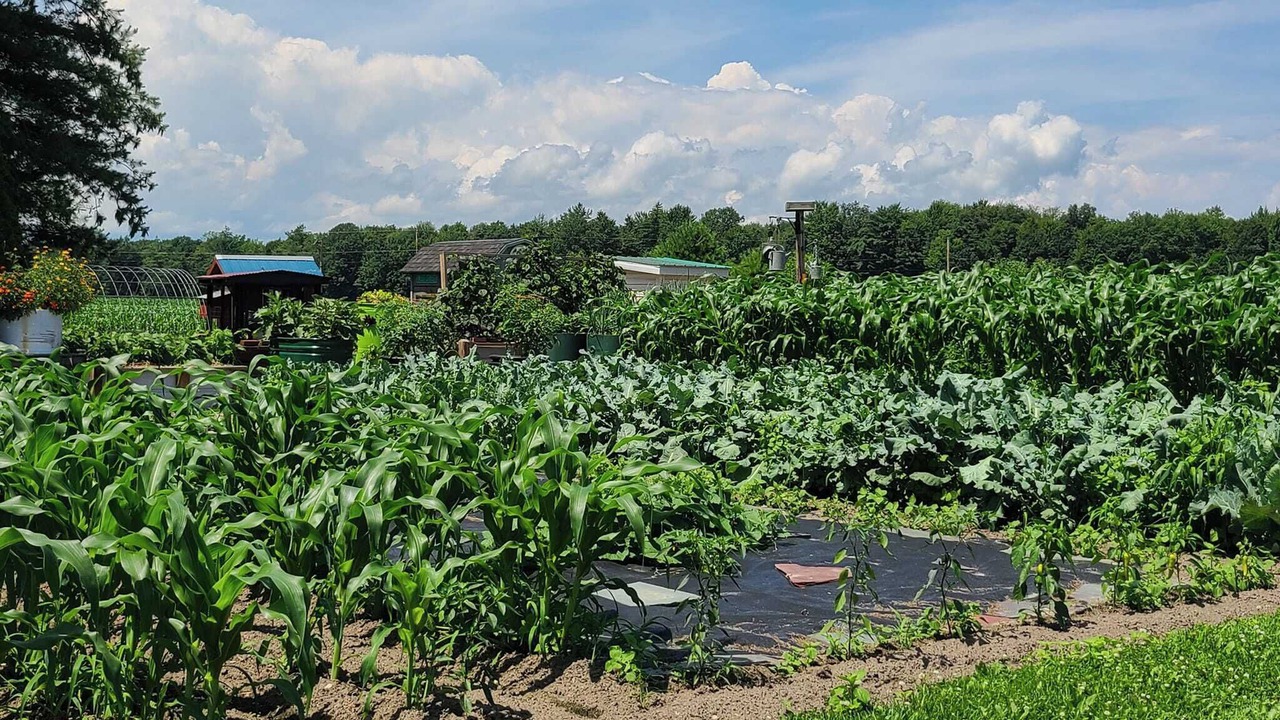 Photo of Outdoor in Vergennes