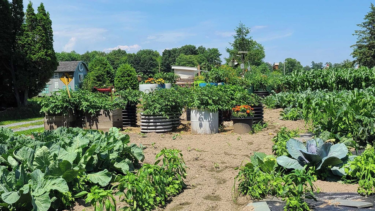 Photo of Outdoor in Vergennes