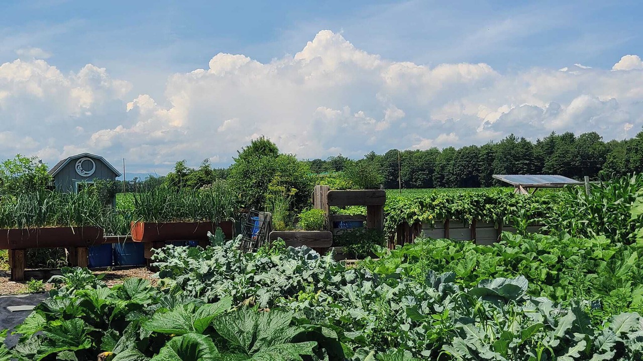 Photo of Outdoor in Vergennes