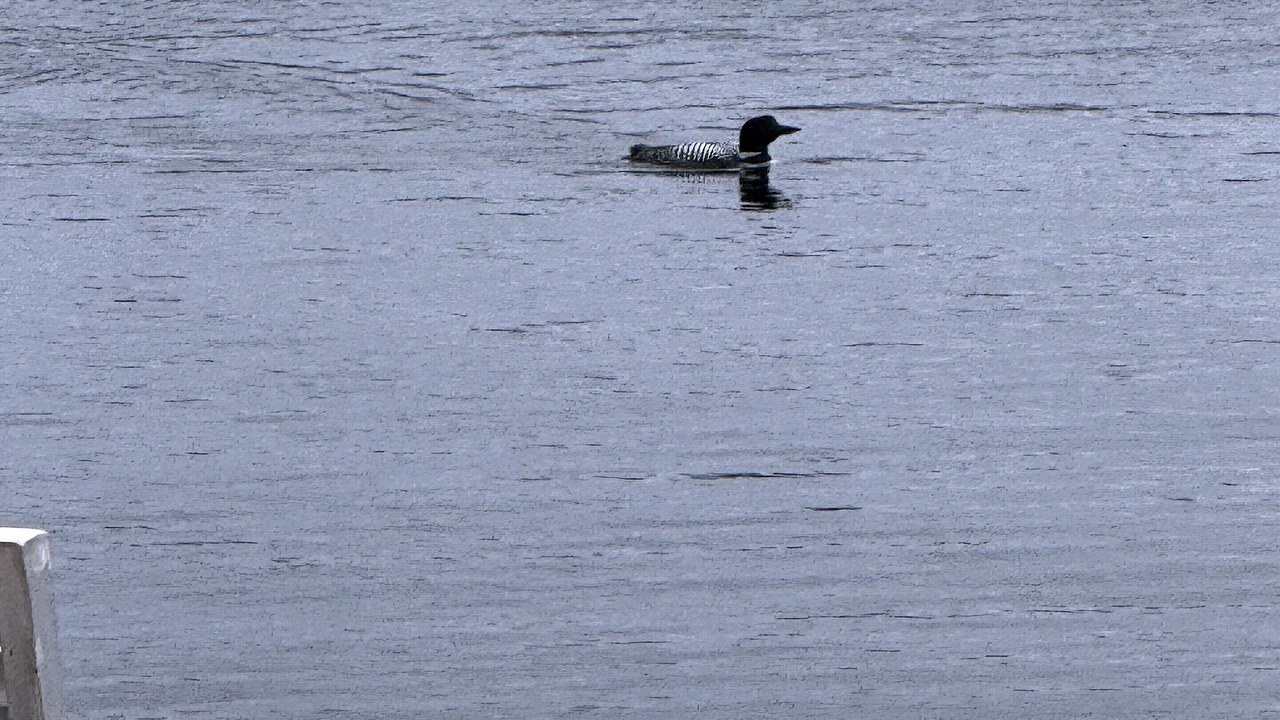 Photo of Others in Spooner