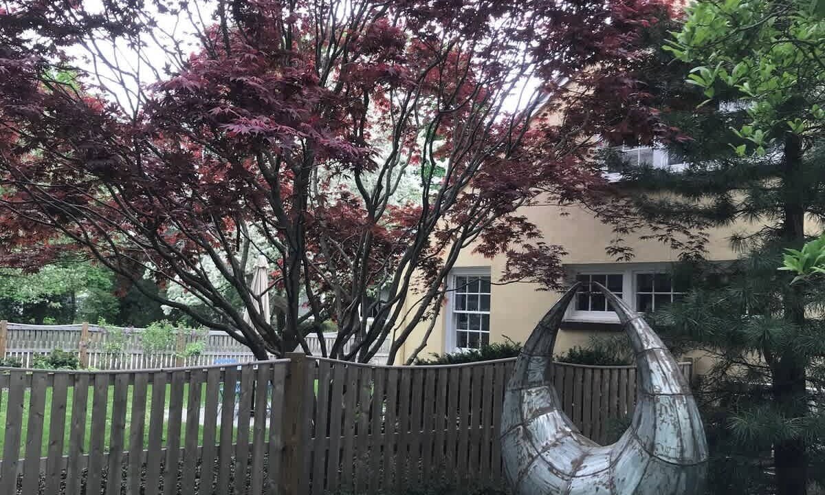 Photo of Outdoor in Concord