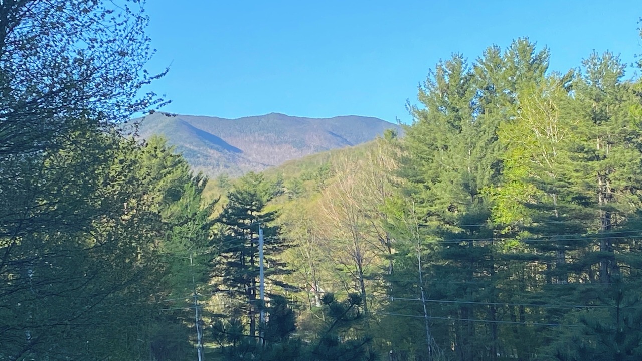 Photo of Others in Keene