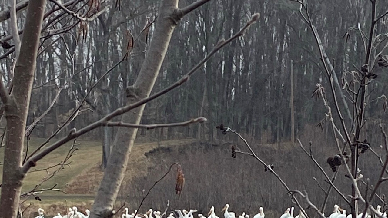 Photo of Others in St Croix Falls