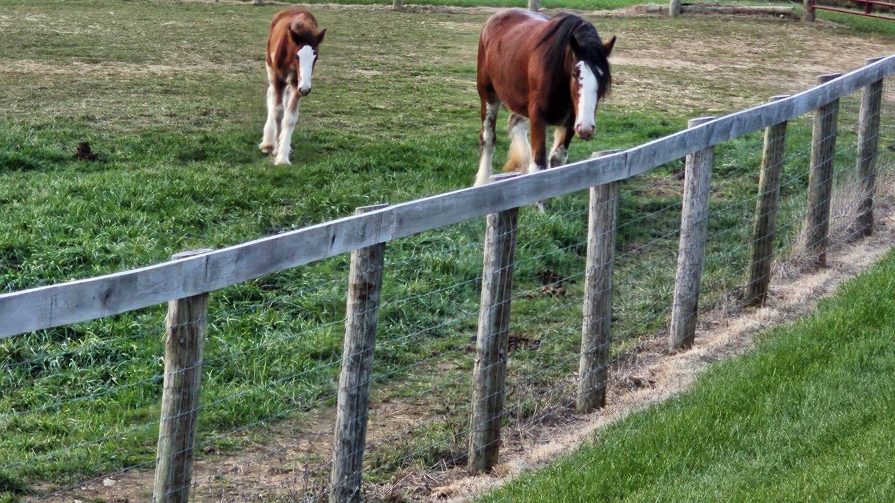Photo of Others in Milford