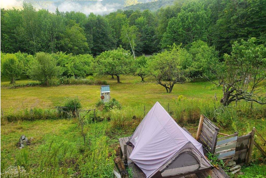 Photo of Outdoor in Braintree