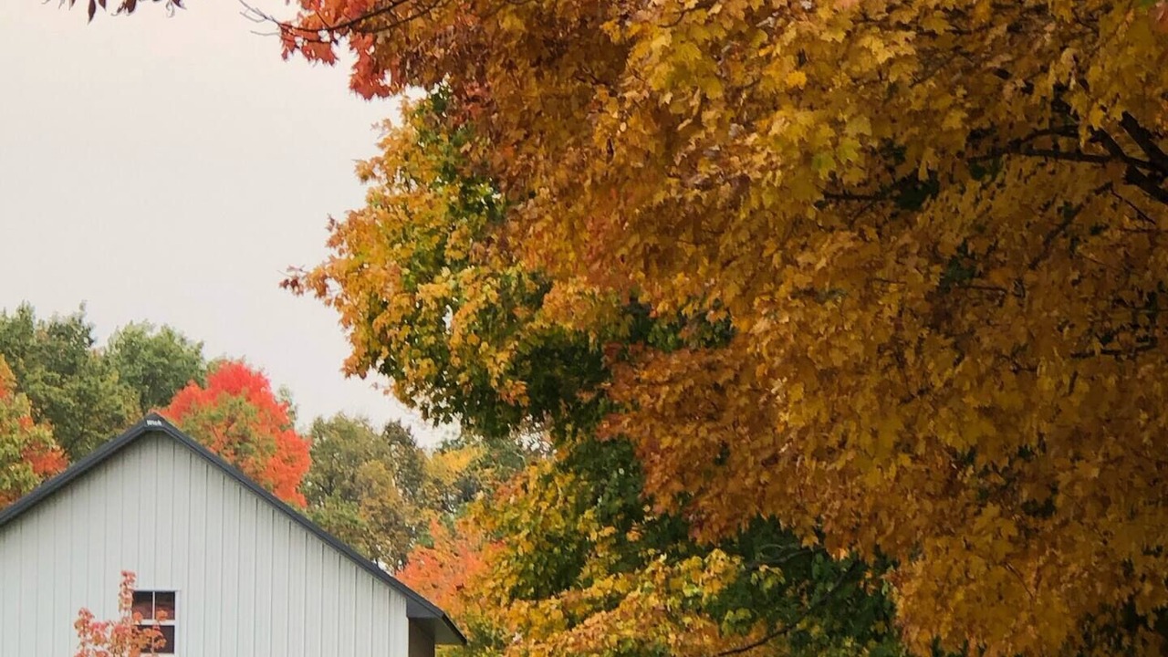 Photo of Outdoor in Balsam Lake