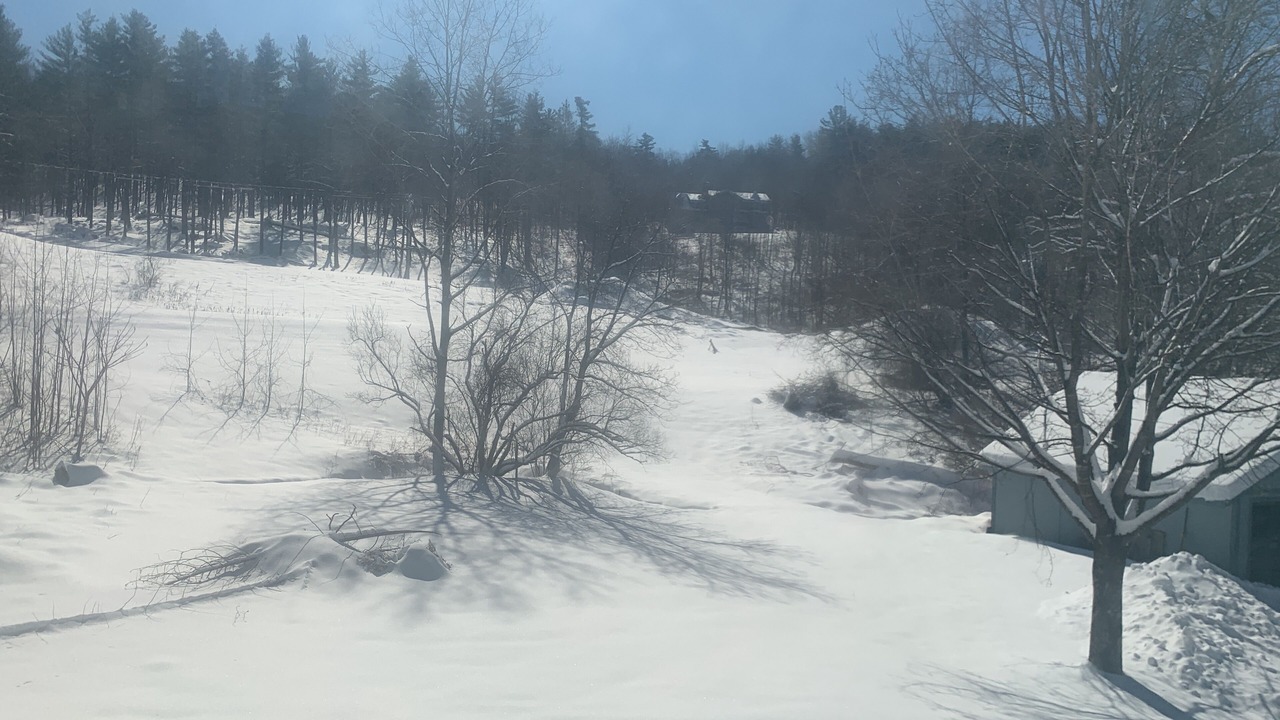 Photo of Others in Stowe