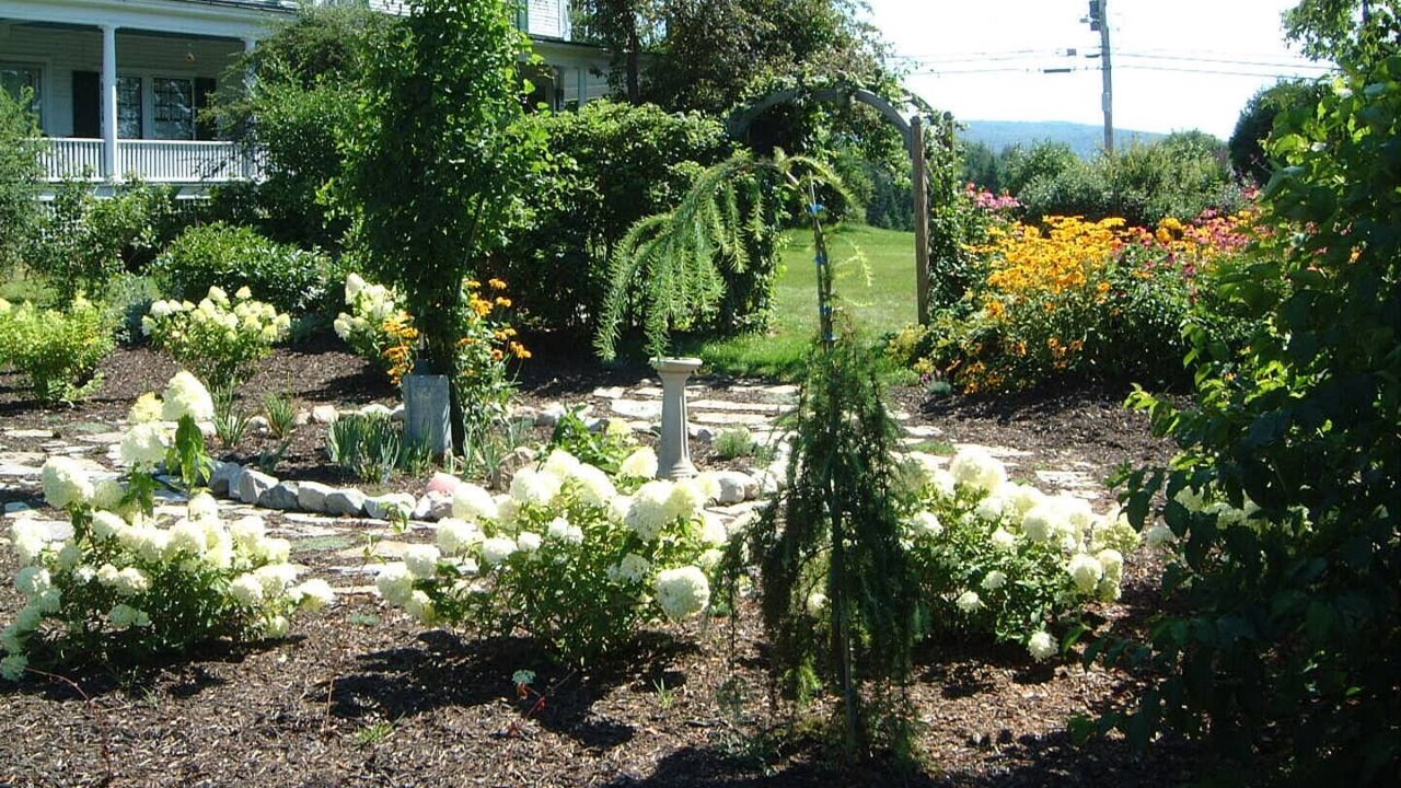 Photo of Outdoor in Enfield