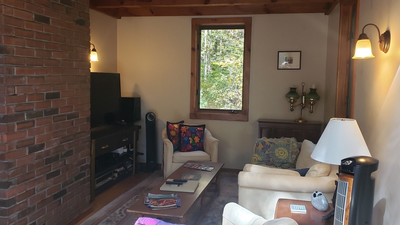 Photo of Livingroom in Putney