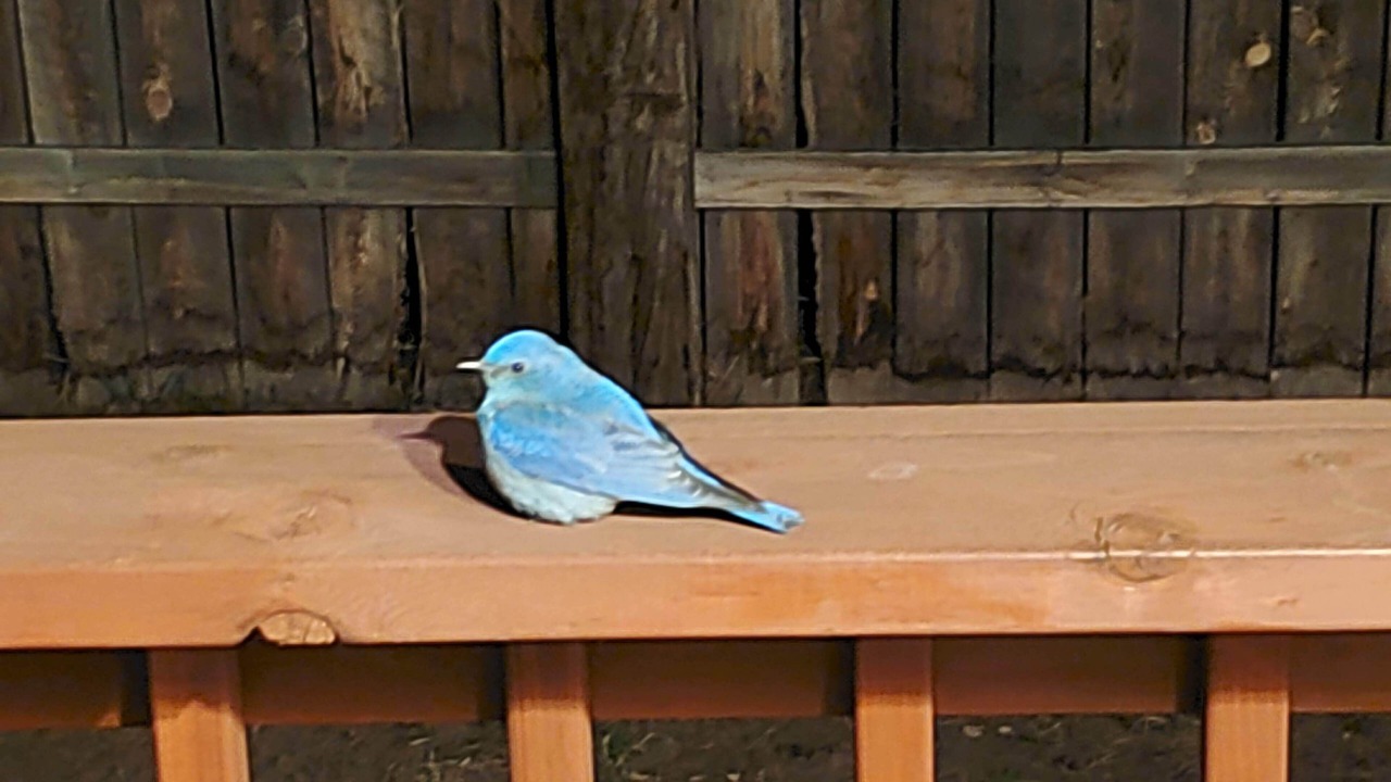 Photo of Others in Eagle Nest