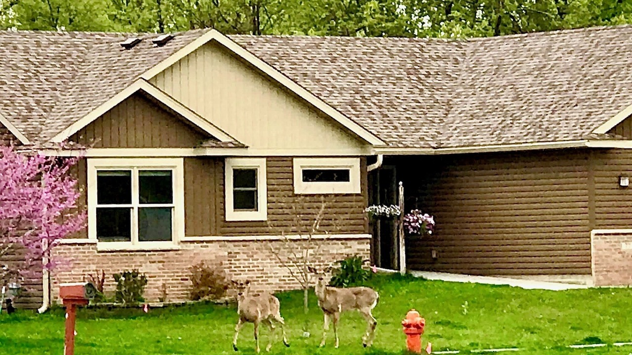 Photo of Outdoor in Rochester