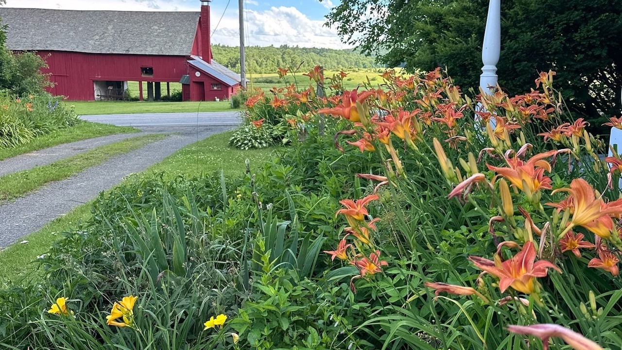 Photo of Outdoor in Wadhams