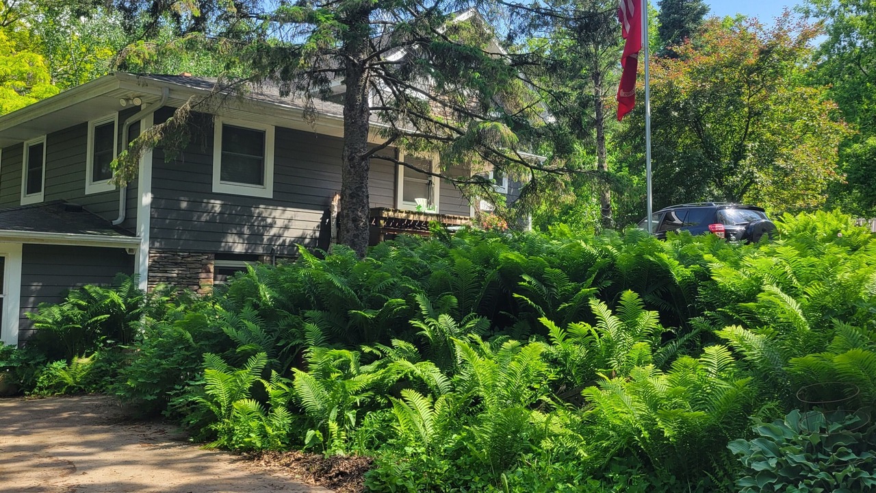 Photo of Outdoor in Afton