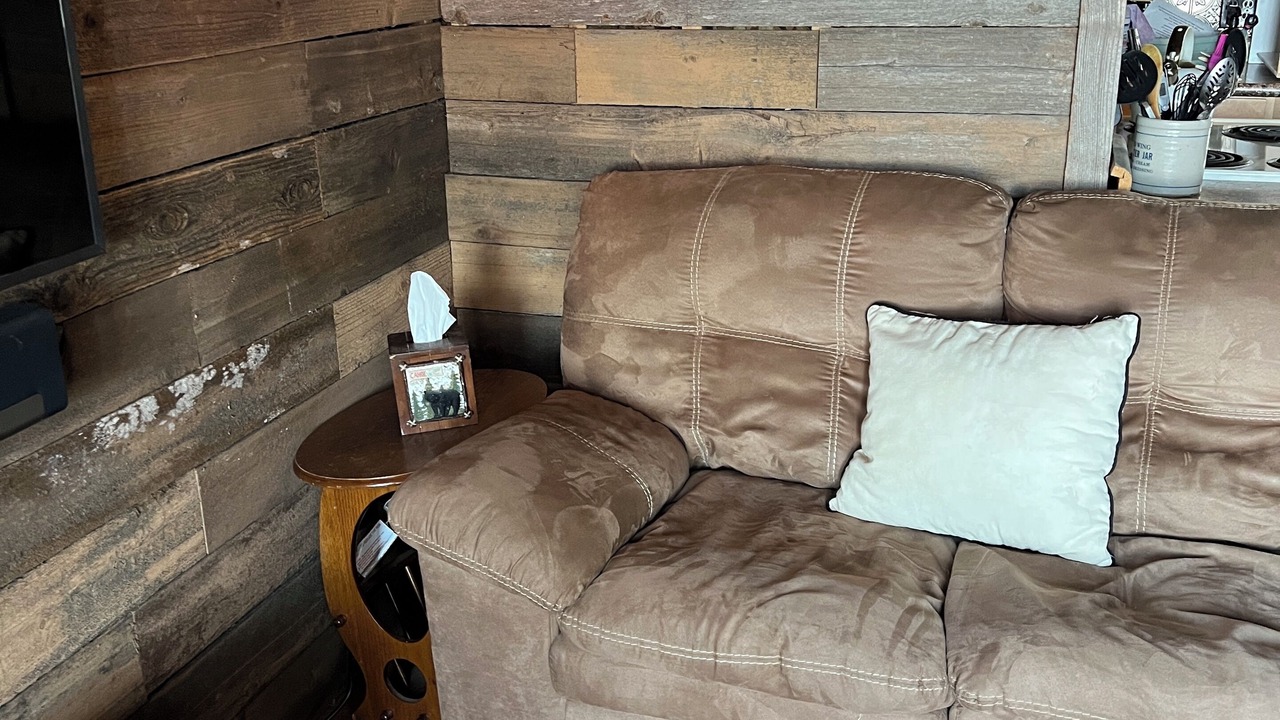 Photo of Livingroom in Faribault