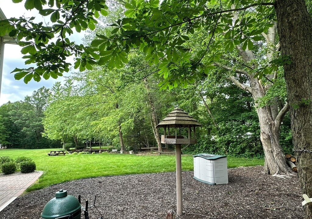 Photo of Outdoor in Wheeler