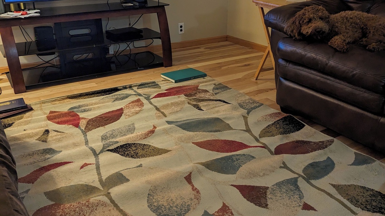 Photo of Livingroom in Viroqua
