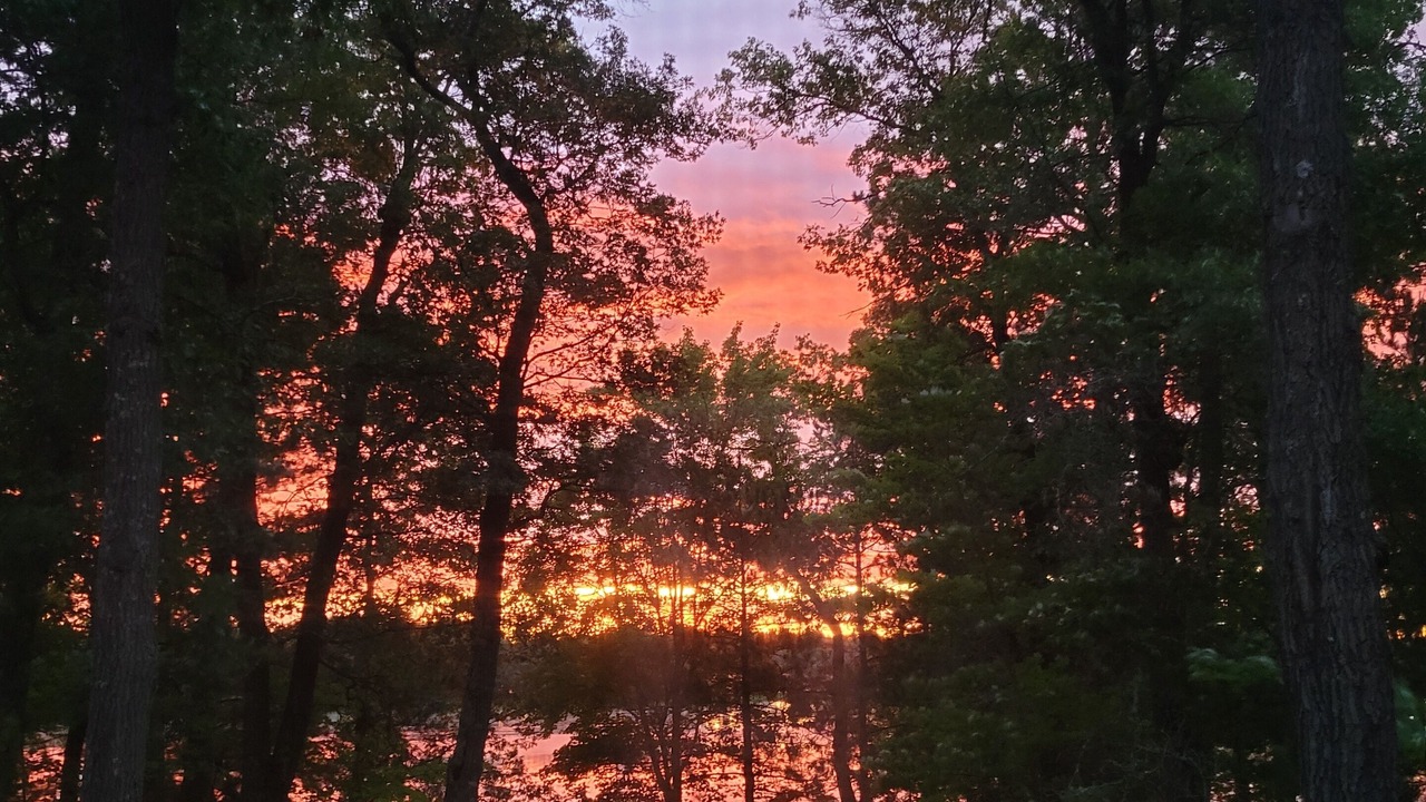 Photo of Outdoor in Webster